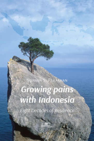 Growing pains with Indonesia. Eight decades of resilience