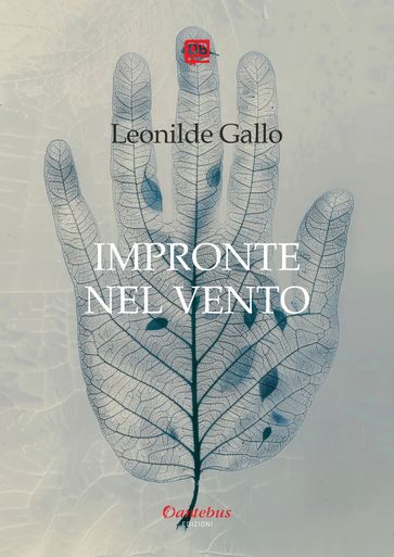 Impronte nel vento