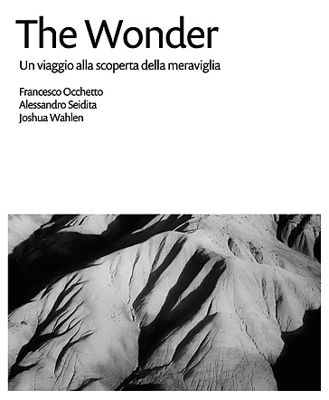 The Wonder. Un viaggio alla scoperta della meraviglia. Ediz. illustrata