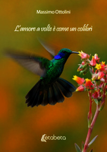 L'amore a volte è come un colibrì
