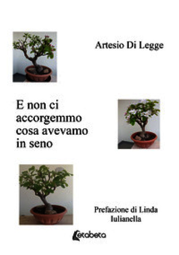 E non ci accorgemmo cosa avevamo in seno