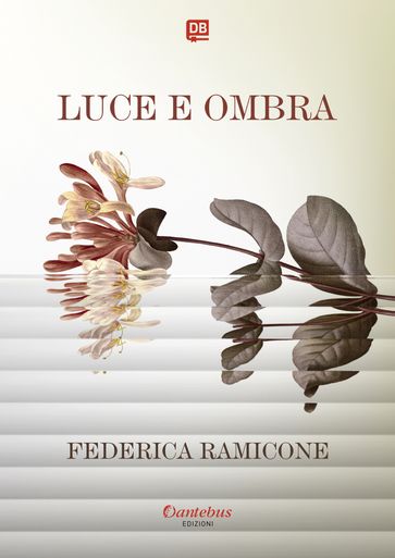 Luce e Ombra