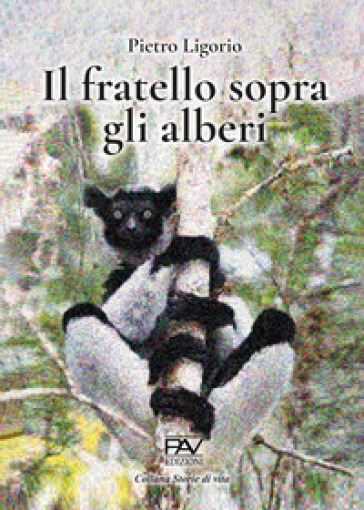 Il fratello sopra gli alberi-0
