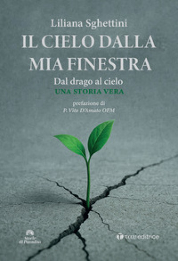 Il cielo dalla mia finestra