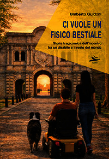 Ci vuole un fisico bestiale. Storia tragicomica dell'incontro fra un disabile e il resto del mondo