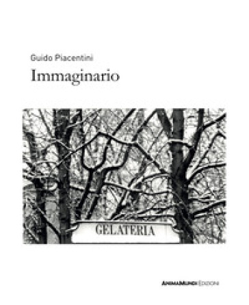 Immaginario. Ediz. Illustrata