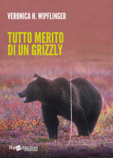 Tutto merito di un grizzly