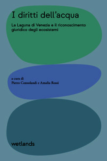 I diritti dell'acqua. La Laguna di Venezia e il riconoscimento giuridico degli ecosistemi. Ediz. illustrata