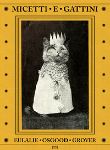 Micetti e gattini. Ediz. illustrata