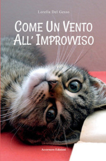 Come un vento all'improvviso