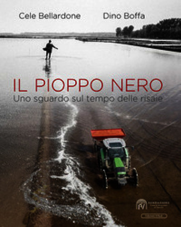 Il pioppo nero. Uno sguardo sul tempo delle risaie