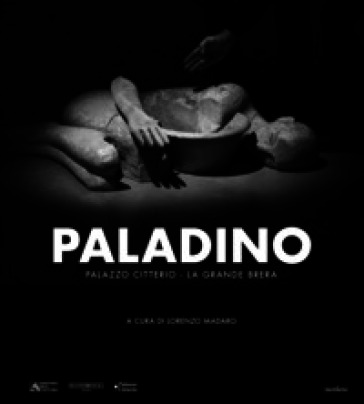 Paladino. Ediz. illustrata