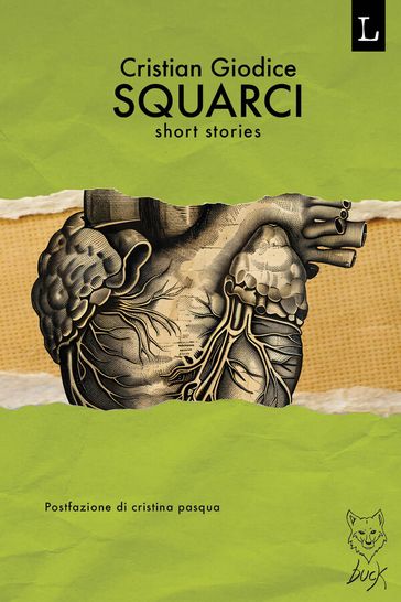 Squarci