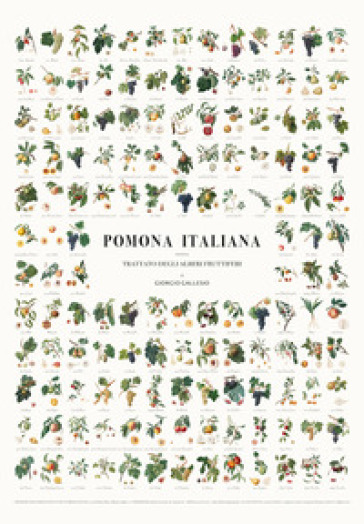 MANIFESTO DEI FRUTTI DELLA POMONA ITALIANA. Illustrazioni originali delle 142 varietà di frutta antica descritte nella Pomona Italiana di Giorgio Gallesiol. Ediz. illustrata
