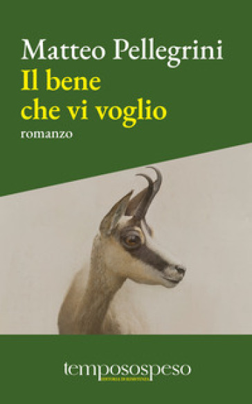 Il bene che vi voglio