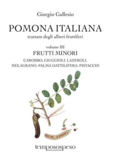 Pomona italiana ossia Trattato degli alberi fruttiferi. Vol. 3: Frutti minori. Carobbo, giuggioli, lazeroli, melograno, palma dattilifera, pistacchi