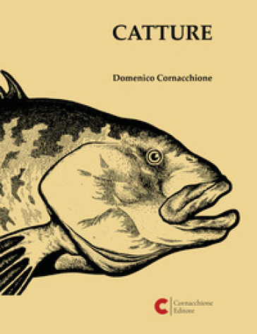 Catture. Catalogo della mostra (Roma). Ediz. illustrata