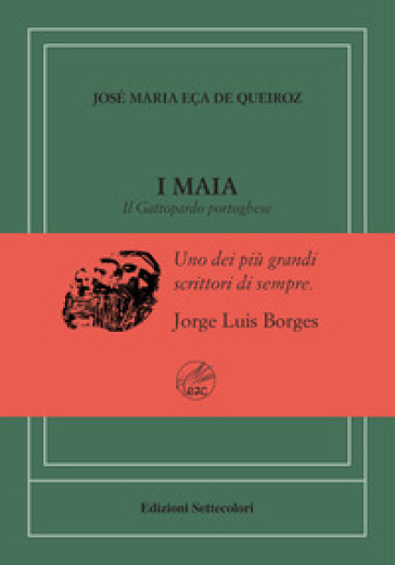 Maia. Il Gattopardo portoghese. Ediz. numerata