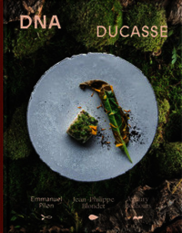 DNA Ducasse