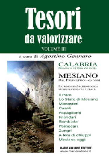 Tesori da valorizzare. Calabria, provincia di Vibo Valentia. Vol. 3: Mesiano. Dal Paleolitico ad oggi