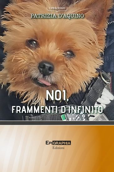NOI, FRAMMENTI D'INFINITO