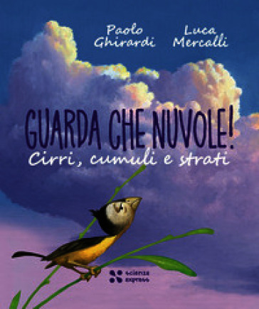 Guarda che nuvole. Ediz. a colori