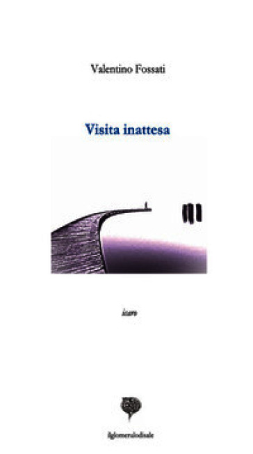 Visita inattesa