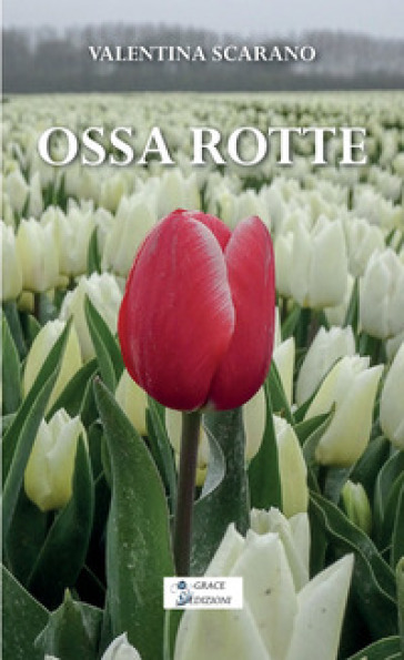 Ossa rotte