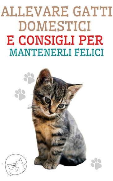 Allevare Gatti Domestici e Consigli per Mantenerli Felici