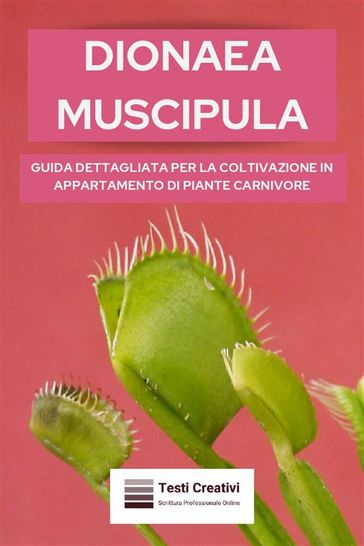 Dionaea Muscipula